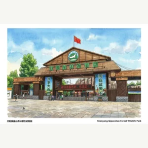 Shenyang Qipanshan Forest Zoo Postcard